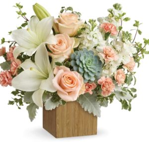 Reminiscent of a desert sunrise, this modern mix of peach blooms, white lilies, and succulents is a super chic statement in a natural bamboo cube. Peach roses, white asiatic lilies, peach miniature carnations, and white stock are accented with pitta negra, dusty miller, and a green echeveria succulent. Delivered in Teleflora's Small Natural Bamboo Cube. Orientation: One-Sided